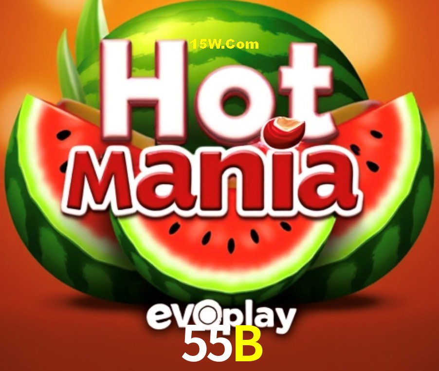 Programa VIP 55B