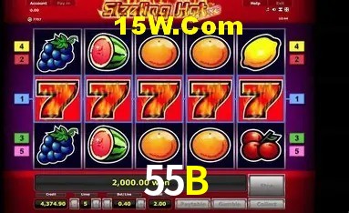 Estatísticas 55B