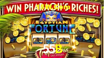 Casino Ao Vivo 55B